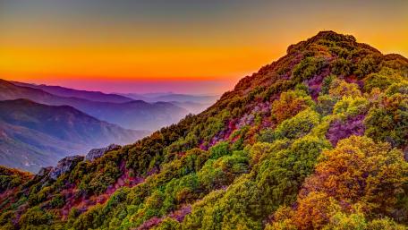 Sequoia National Park wallpaper