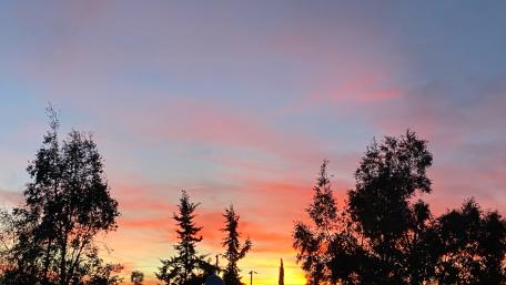 Serene Sunset Silhouette Over Treeline wallpaper