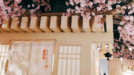 Sakura language wallpaper