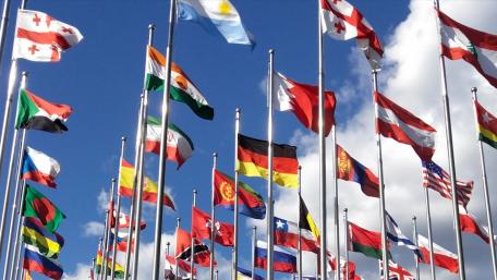 Flag flying wallpaper