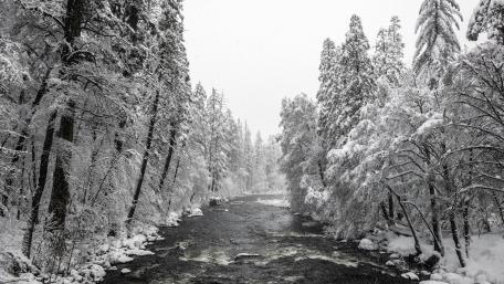 Merced River Monochrome Photography wallpaper