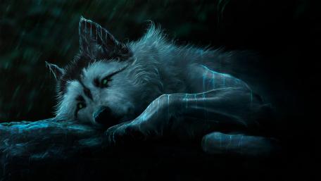 Mystic Wolf's Dreamy Repose wallpaper