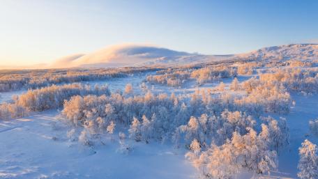 Snow-Capped Serenity in Winter Wonderland wallpaper