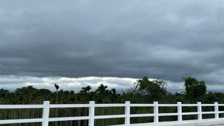 Calm Overcast Sky and Lush Greenery Scene wallpaper
