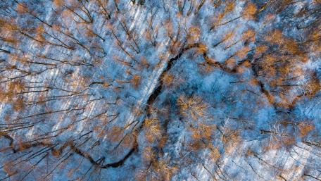 Winter's Tranquil River in a Snowy Forest View wallpaper