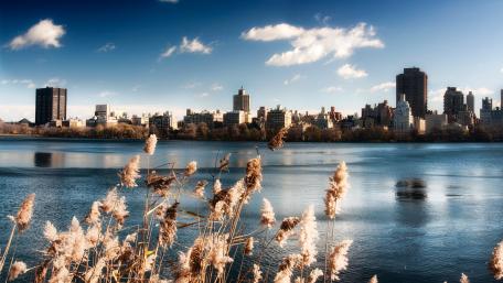 Upper Lake in New York Central Park wallpaper