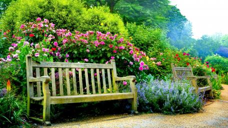 Summer Serenity in a Blooming Garden wallpaper