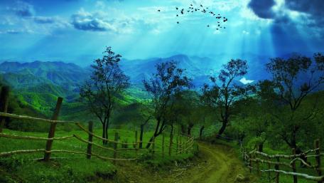 Country Path to the Peaks wallpaper