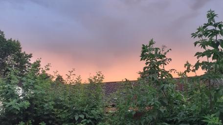 Sunset wallpaper