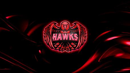 Hawks wallpaper