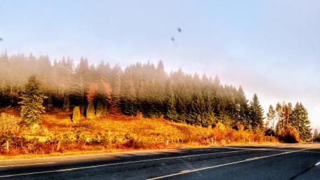 Road to Oregon wallpaper