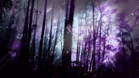Ethereal forest wallpaper