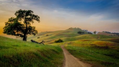 Tranquil Countryside Dirt Road wallpaper