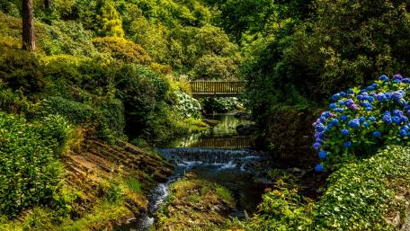 Serene Summer Garden Bridge wallpaper