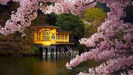 Riverside house wallpaper