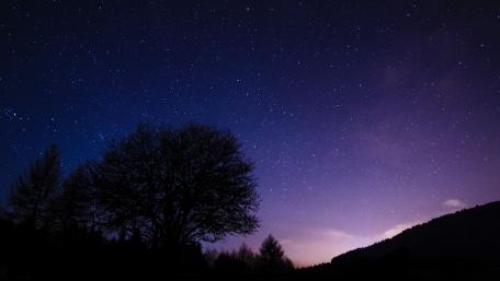 Starry Night Tranquility wallpaper