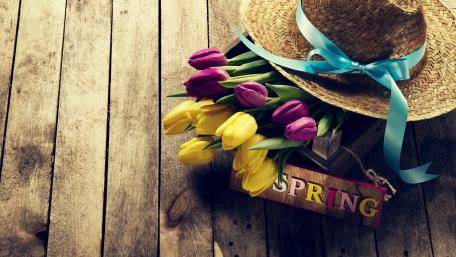 Vibrant Spring Tulips on Wooden Planks wallpaper