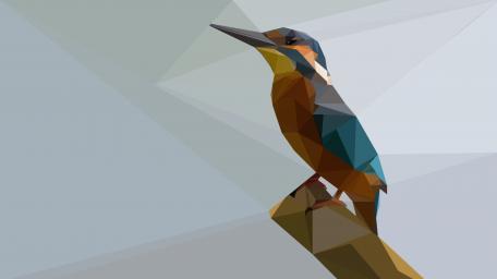 Low-poly kingfisher wallpaper