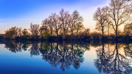 Serene Lakeside Spring Reflection wallpaper