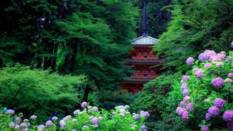 Gansen-ji Pagoda wallpaper