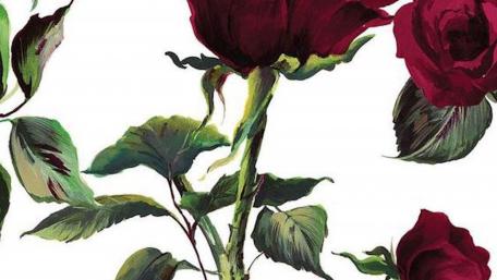 Red Roses in Bloom wallpaper