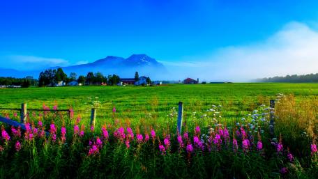 Spring's Countryside Bliss wallpaper
