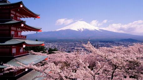 Chureito Pagoda at Sakura blossom wallpaper