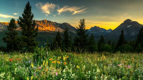 Spring in the mountains wallpaper