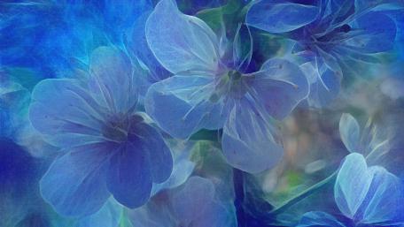Blue Flowers wallpaper