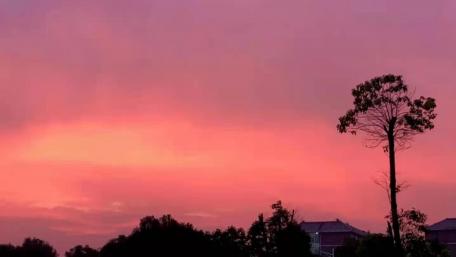 Sunset wallpaper