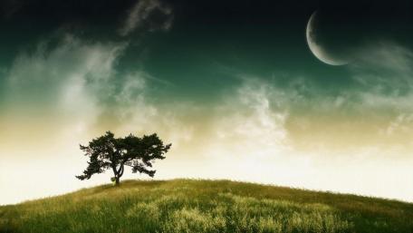 Lonely Tree Under a Crescent Moon wallpaper