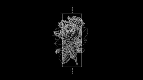 Minimal Graphic Rose wallpaper