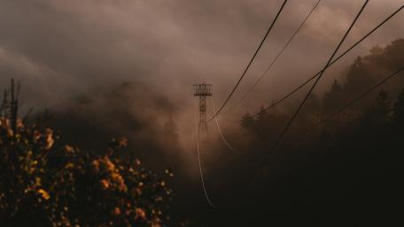 Misty Power Lines in Foggy Forest wallpaper