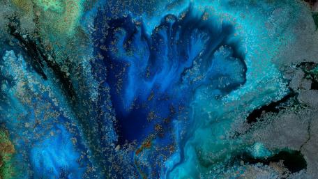 Aqua Dreams in Liquid Blue wallpaper