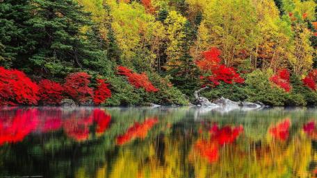 Autumn Reflections in Vibrant Colors wallpaper