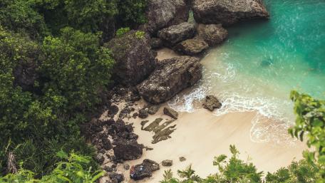 Hidden Gem of the Seashore wallpaper