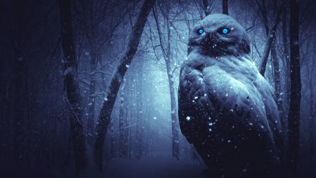 Mystical Snowy Owl in Enchanted Winter Forest wallpaper