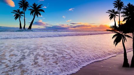 Sunset Tropical Beach Paradise wallpaper