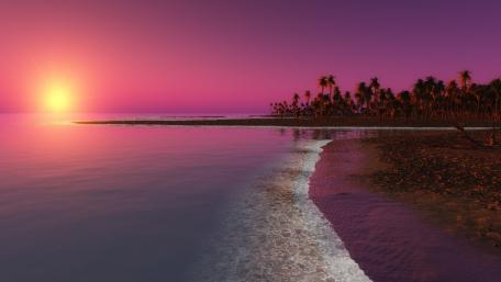 Tropical Sunset Dream in Purple and Pink Hues wallpaper