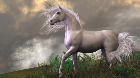 White unicorn wallpaper