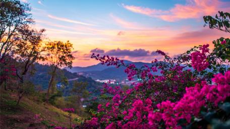 Springtime Serenity in Blooming Hills wallpaper