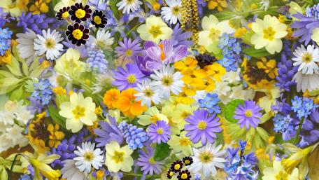Springtime Symphony of Colorful Blossoms wallpaper