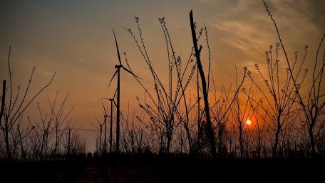 Serene Sunset Over Wind Turbines 4K Wallpaper wallpaper