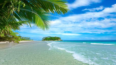 Tropical summer wallpaper