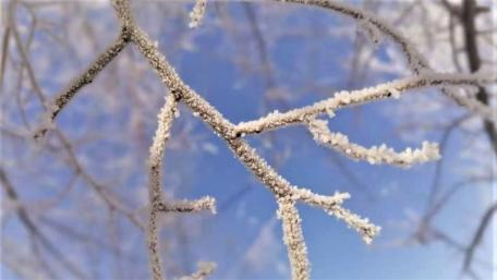 Winter in Shenyang wallpaper