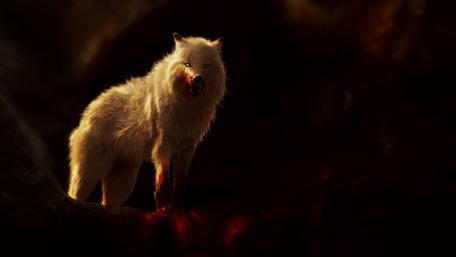 Luminous Predator in the Dark Forest wallpaper