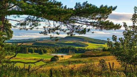 Serene Scottish Countryside View in Vibrant Green Fields wallpaper