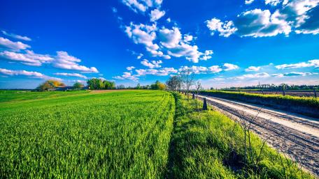 Serenity on a Country Road wallpaper