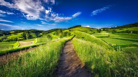 Serene Country Pathway Under Blue Sky wallpaper