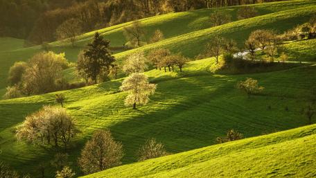 Lush Spring Hills under Gentle Sunlight wallpaper